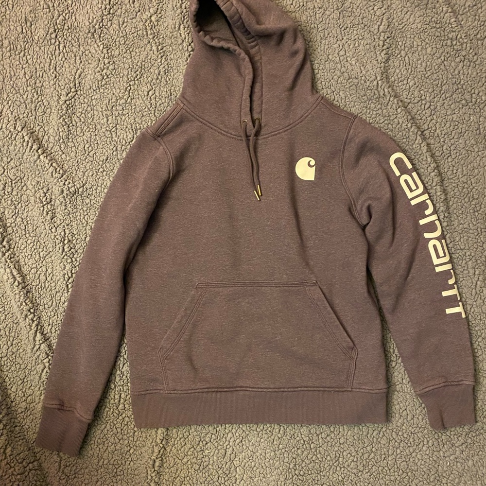 Carhartt Men's Dark Brown Hoodie